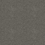 Octagon Quadrilateral Medium