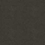 Octagon Scalene Medium