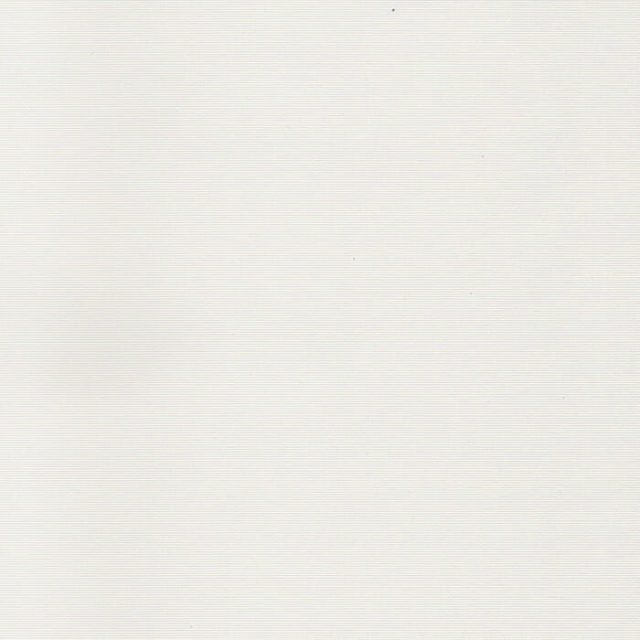 One Block White