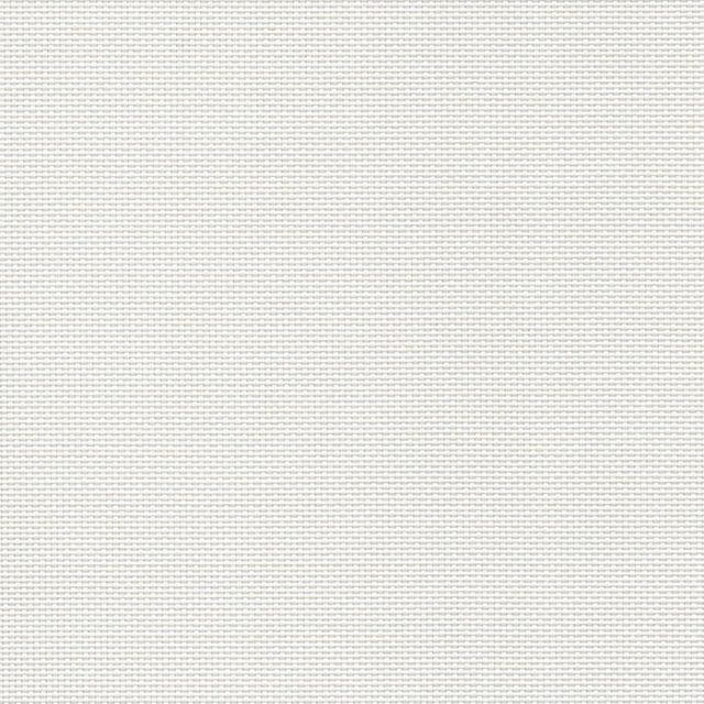 One Screen White