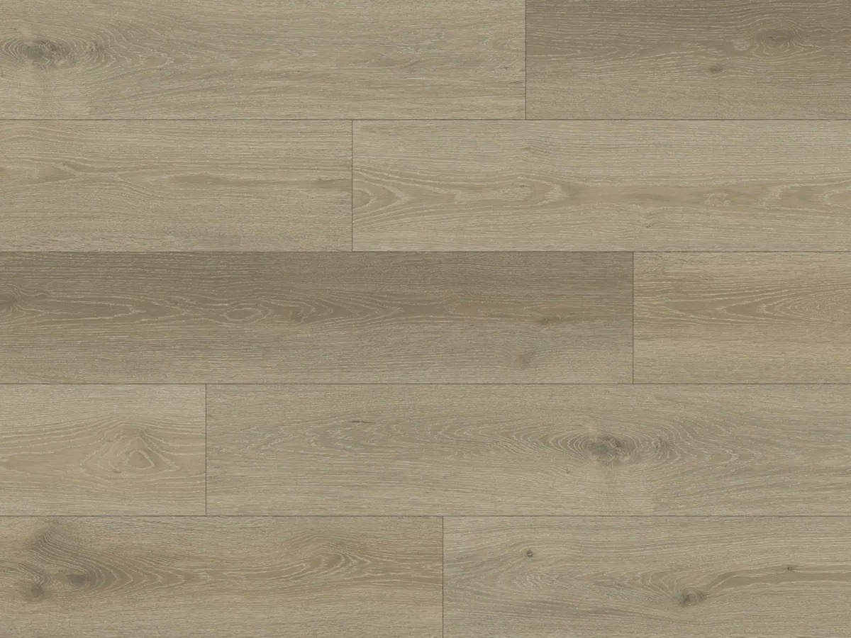 Ornato Elite Mont Blanc Large