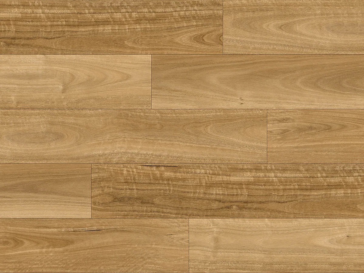 Ornato Urban Highland Spotted Gum Large