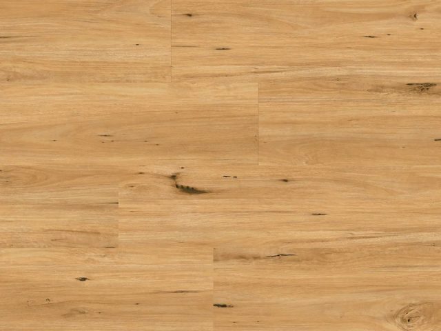 Ornato Xl Coastal Blackbutt Large
