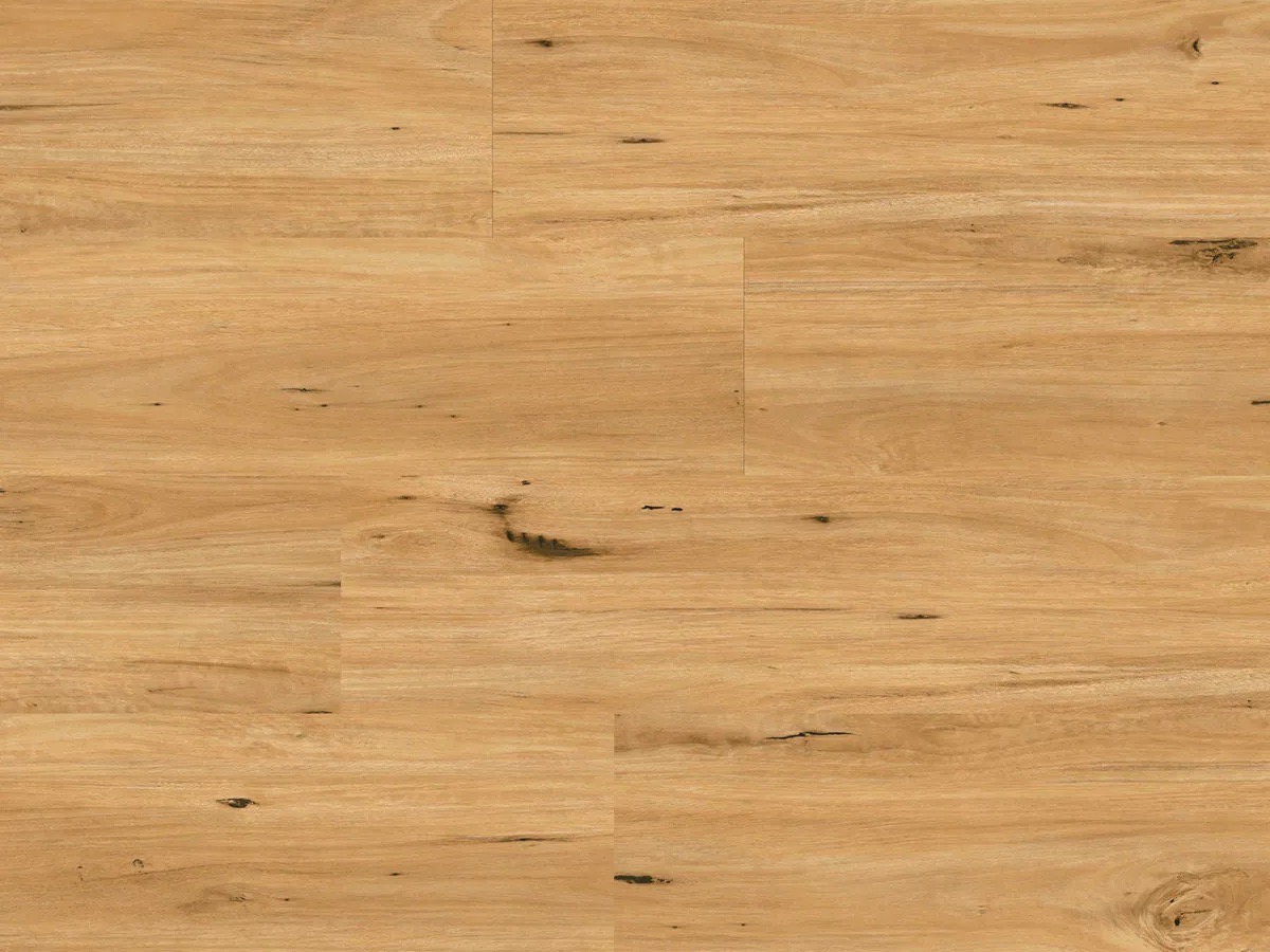 Ornato Xl Coastal Blackbutt Large