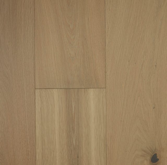 Oyster Grey Large