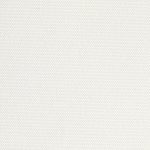 Palm Beach Blockout Lyric