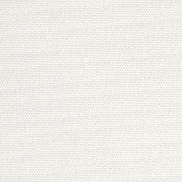 Palm Beach Blockout Lyric