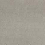 Palm Beach Light Filtering Horizon