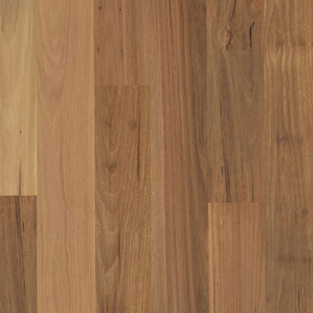 Pioneer Satin Blackbutt Swatch 1250x1250