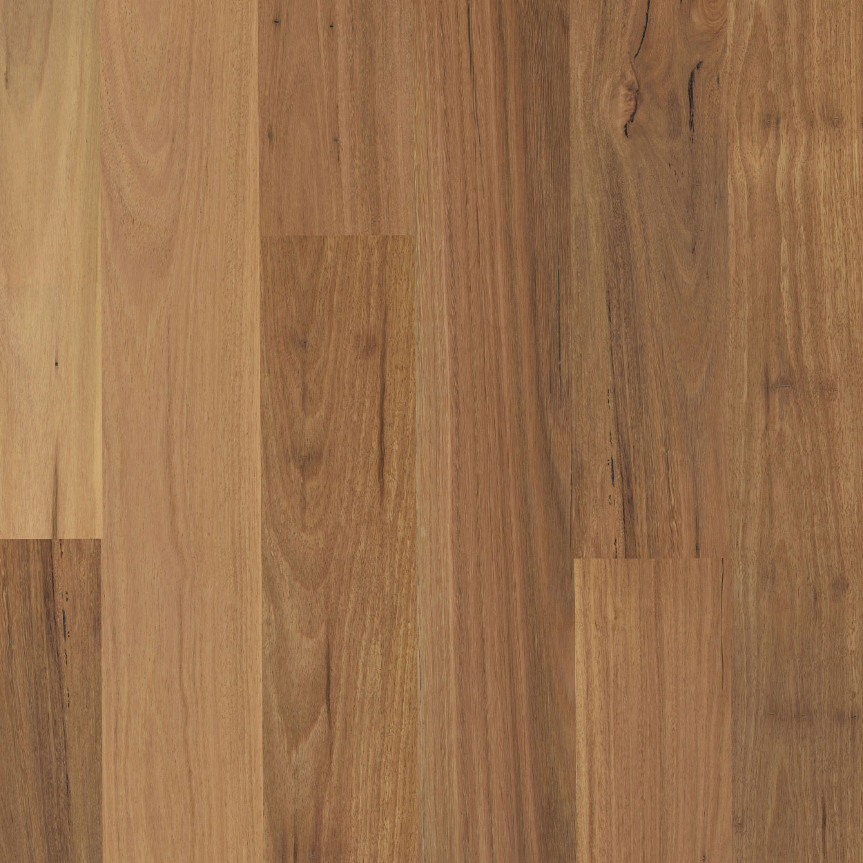 Pioneer Satin Blackbutt Swatch 1250x1250