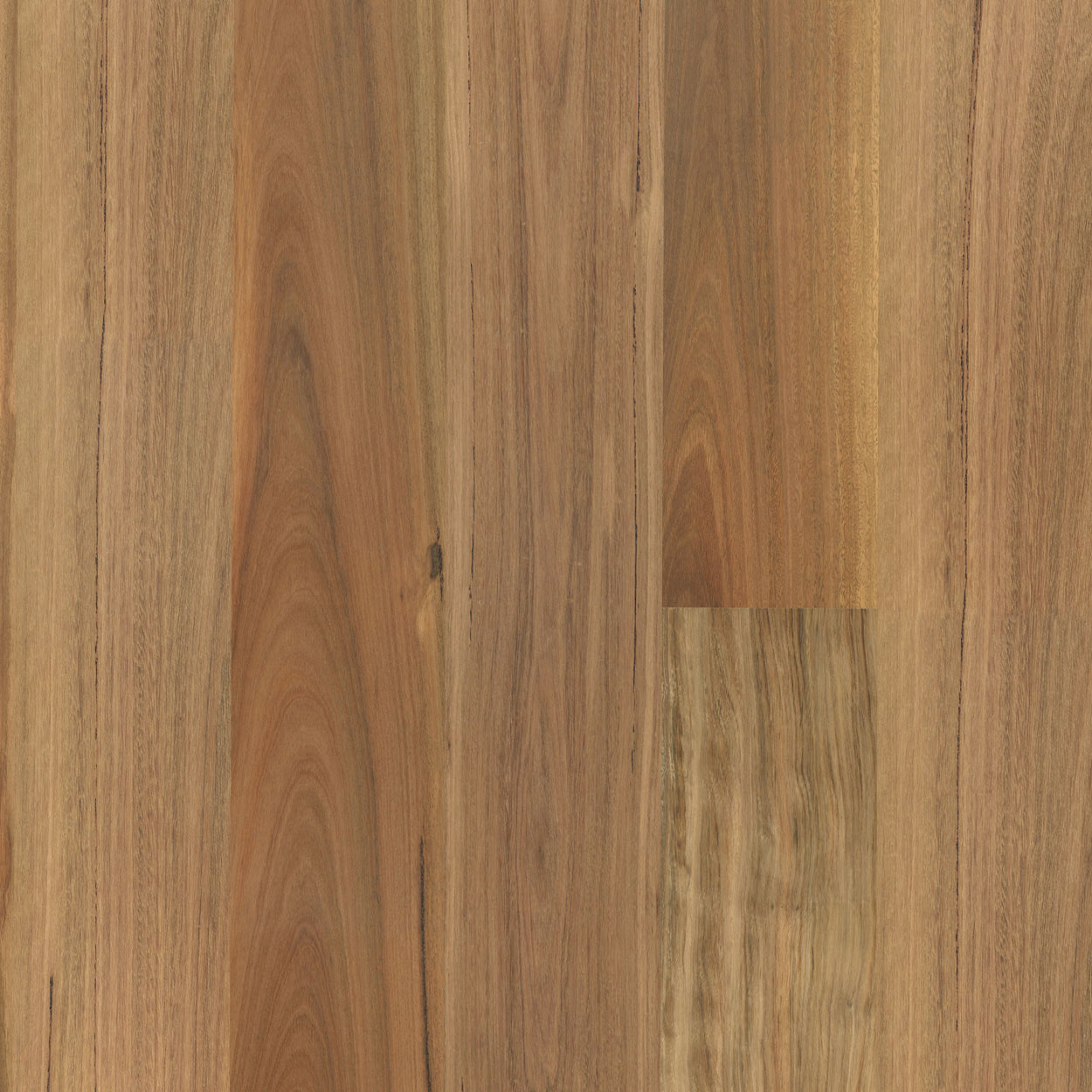 Pioneer Standard Blackbutt Swatch
