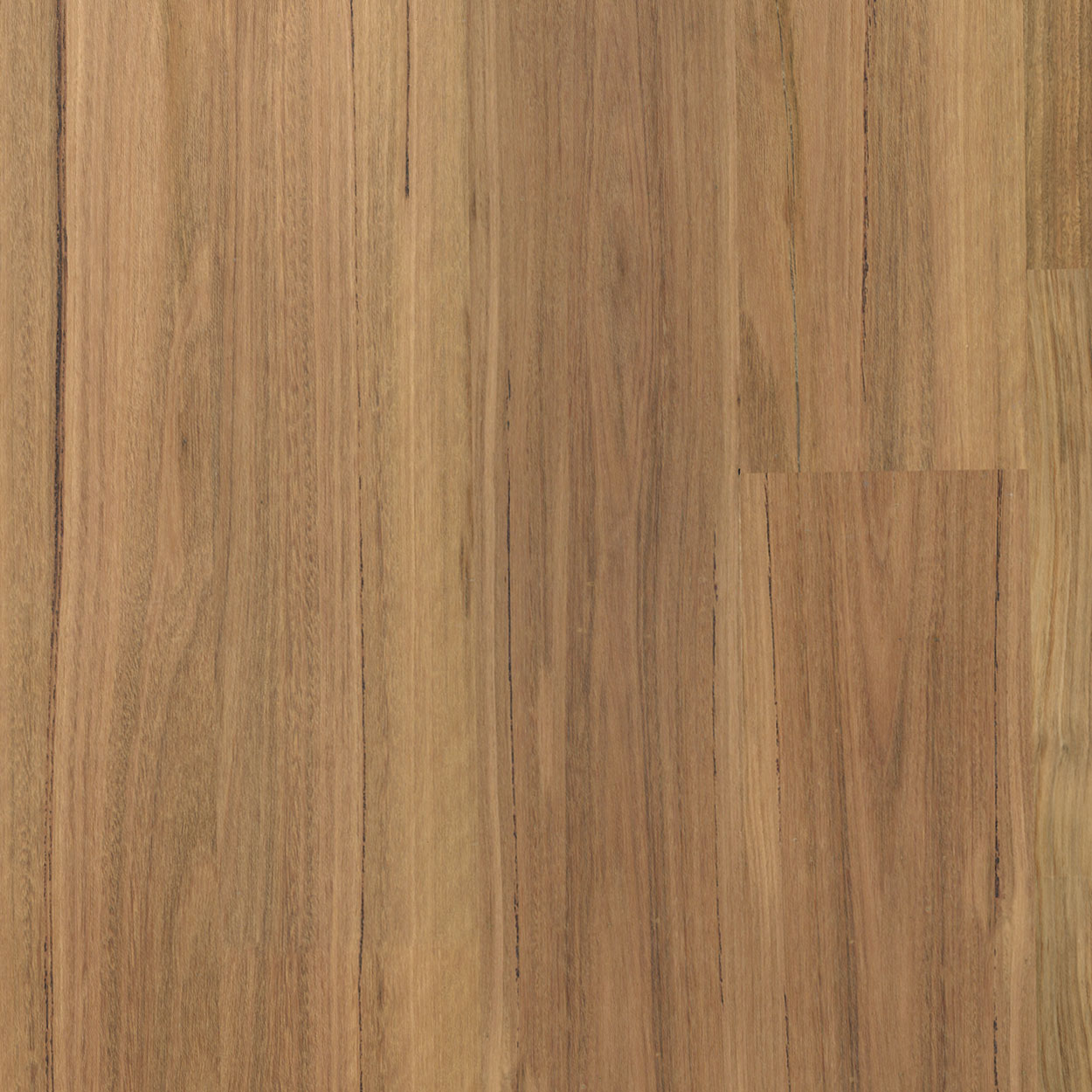Natural timber hybrid flooring available now from Beare Flooring.