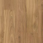 Pioneer Wide Spotted Gum Swatch