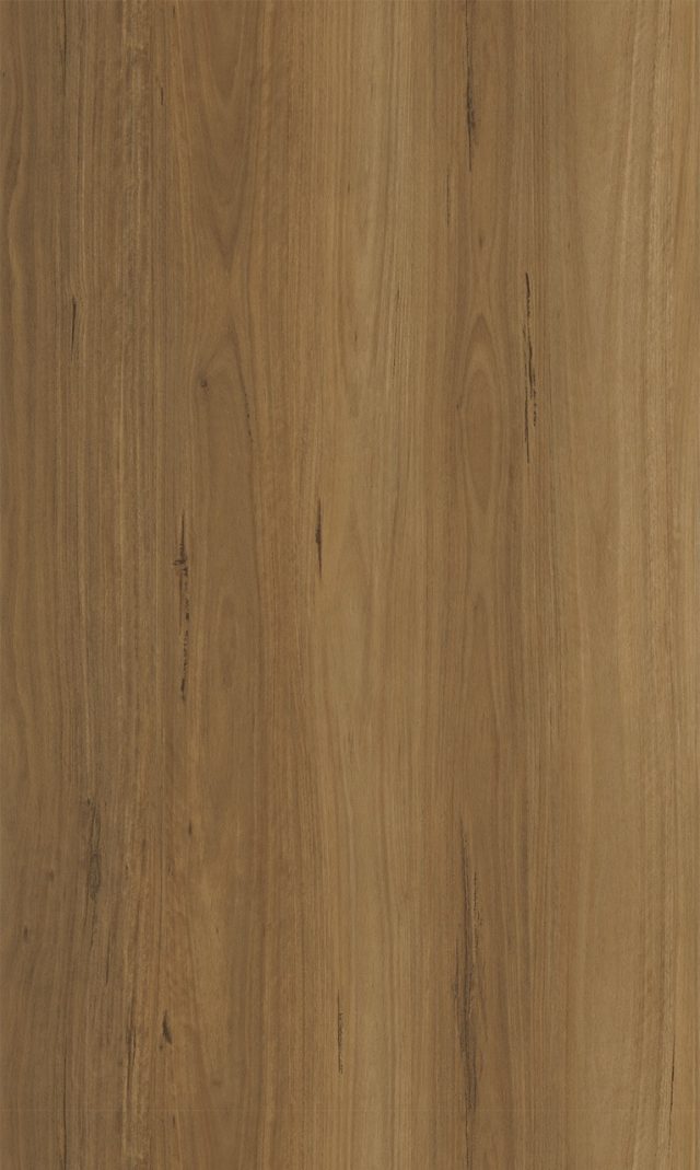 Polaris 1500 Tawny Blackbutt Large