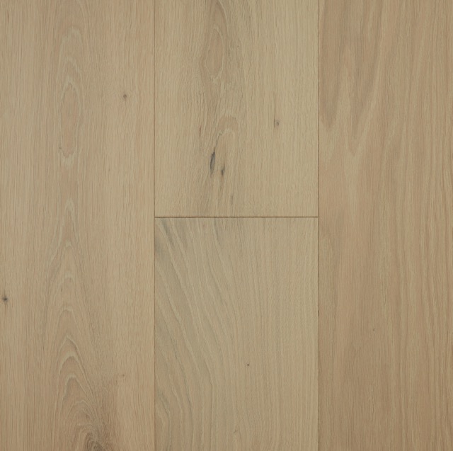 Prestige 14 2 Iceberg Medium