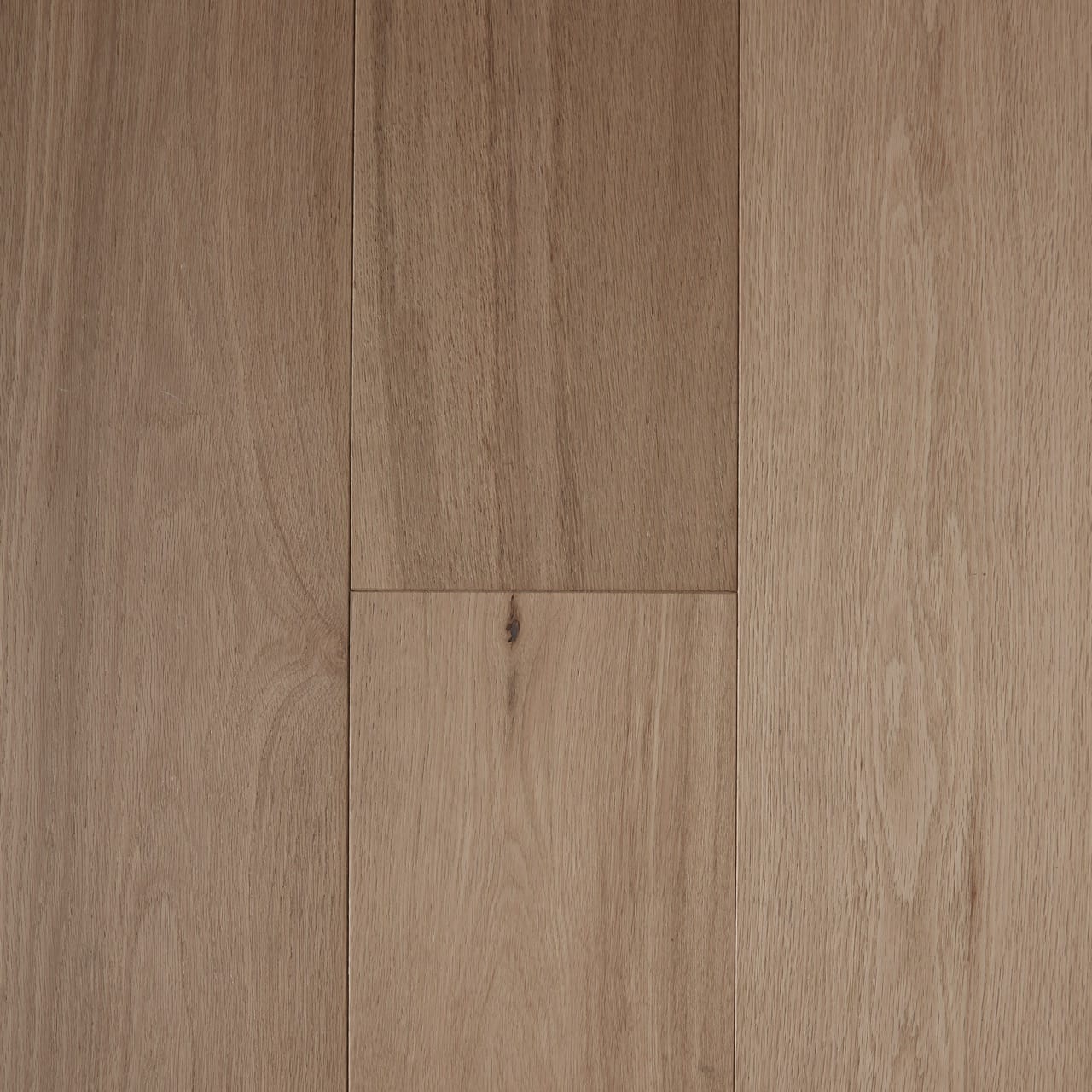 Pronto Parchment Large