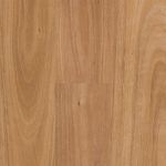 Qlay 3.0 Hinterland Blackbutt