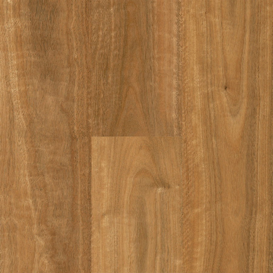 Qlay 3.0 Northern Rivers Spotted Gum