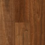 Qlay 3.0 Tamborine Mountain Spotted Gum