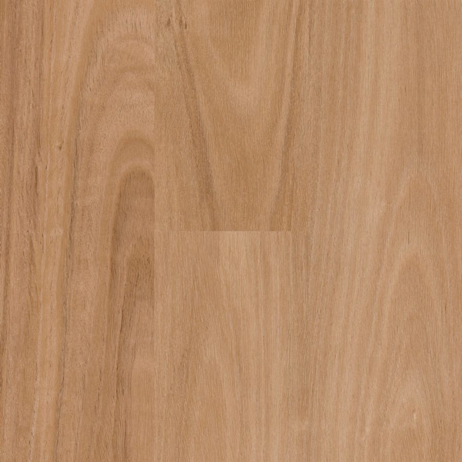 Qlay 5.0 Bendalong Blackbutt