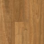 Qlay 5.0 Northern Rivers Spotted Gum