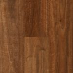 Qlay 5.0 Tamborine Mountain Spotted Gum