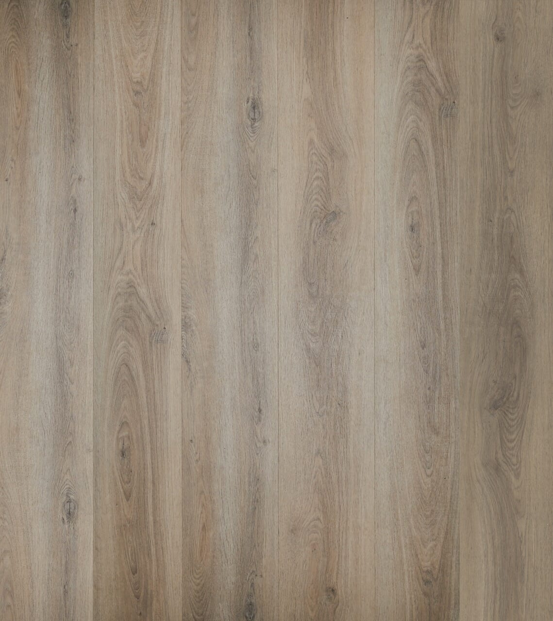 Quattro Bristle Oak Large