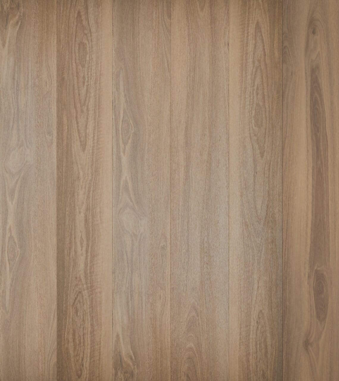 Quattro Mallee Spotted Gum Large