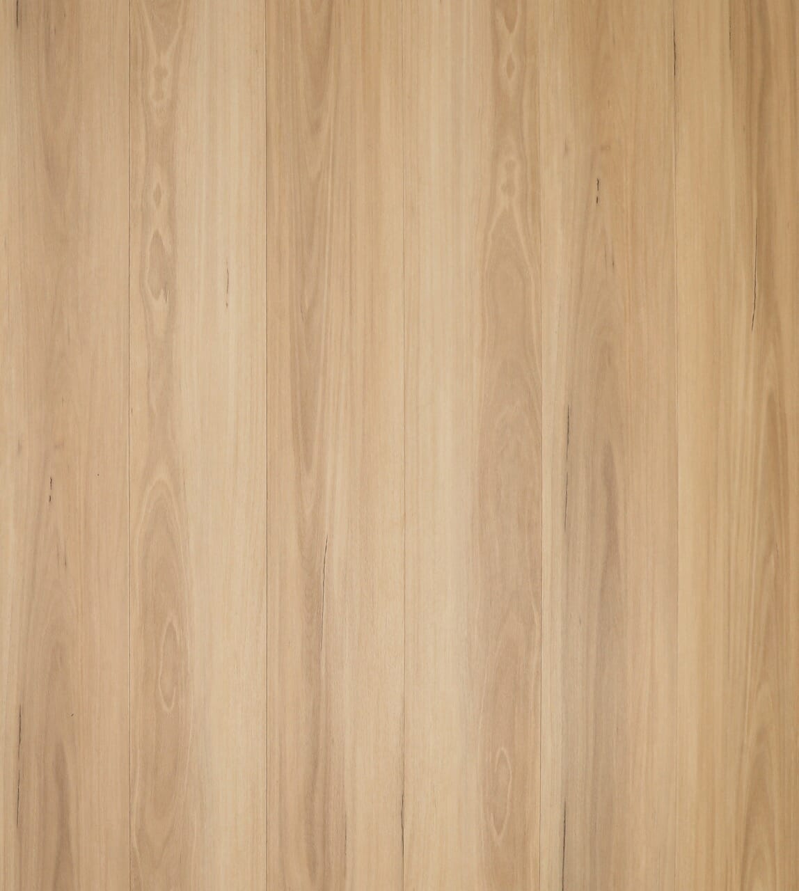 Quattro New England Blackbutt Large