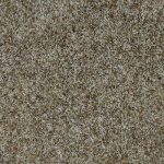 Raider Col. Seashell