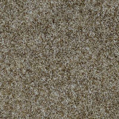 Raider Col. Seashell