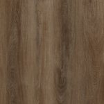 Regent 1500 Birdsville