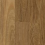 Rigid Plank Coastal Blackbutt