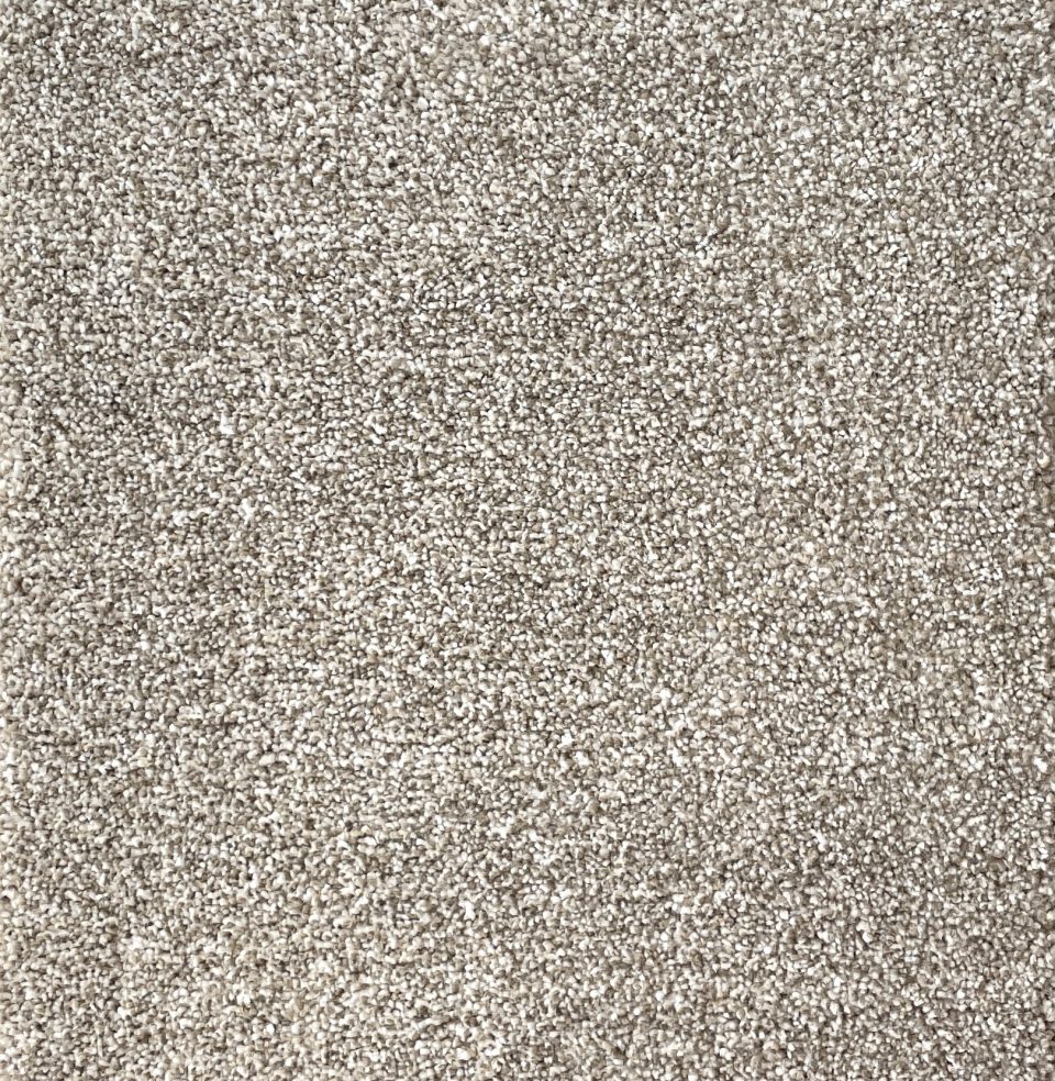 Salsa Carpet
