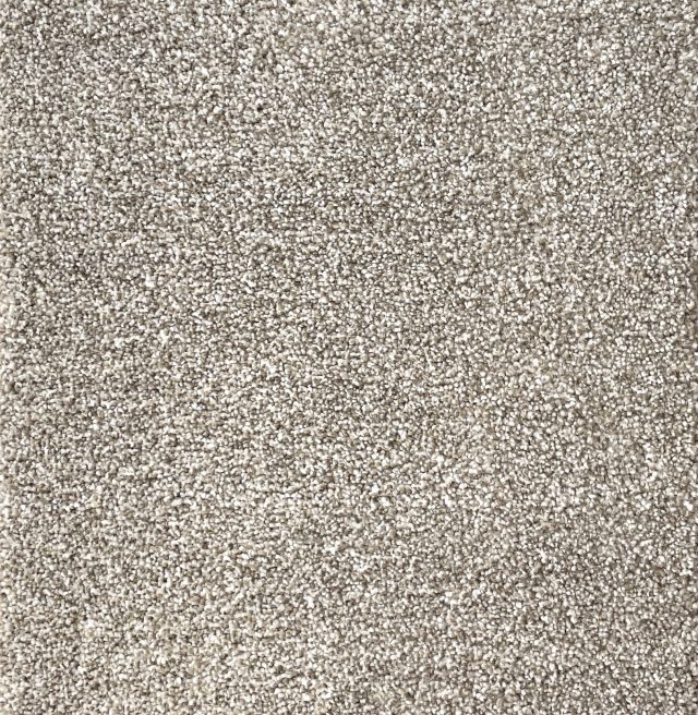 Salsa Col. Glacier