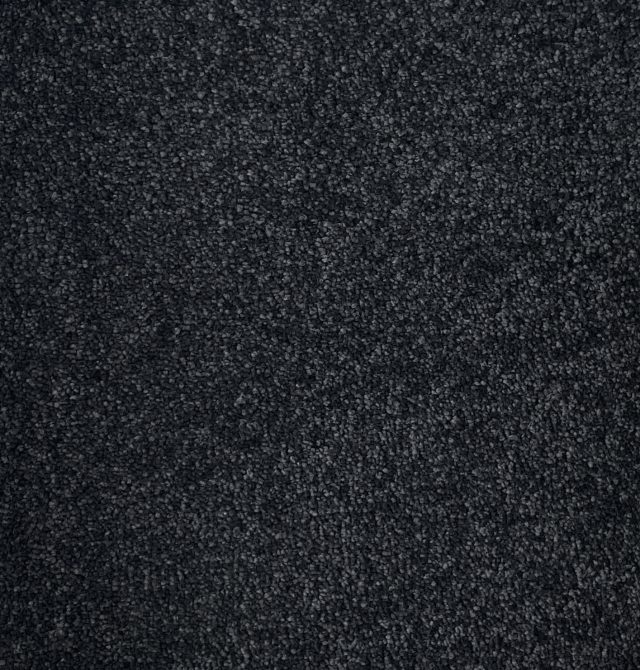 Salsa Col. Slate