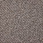 Sante Park Aster Large