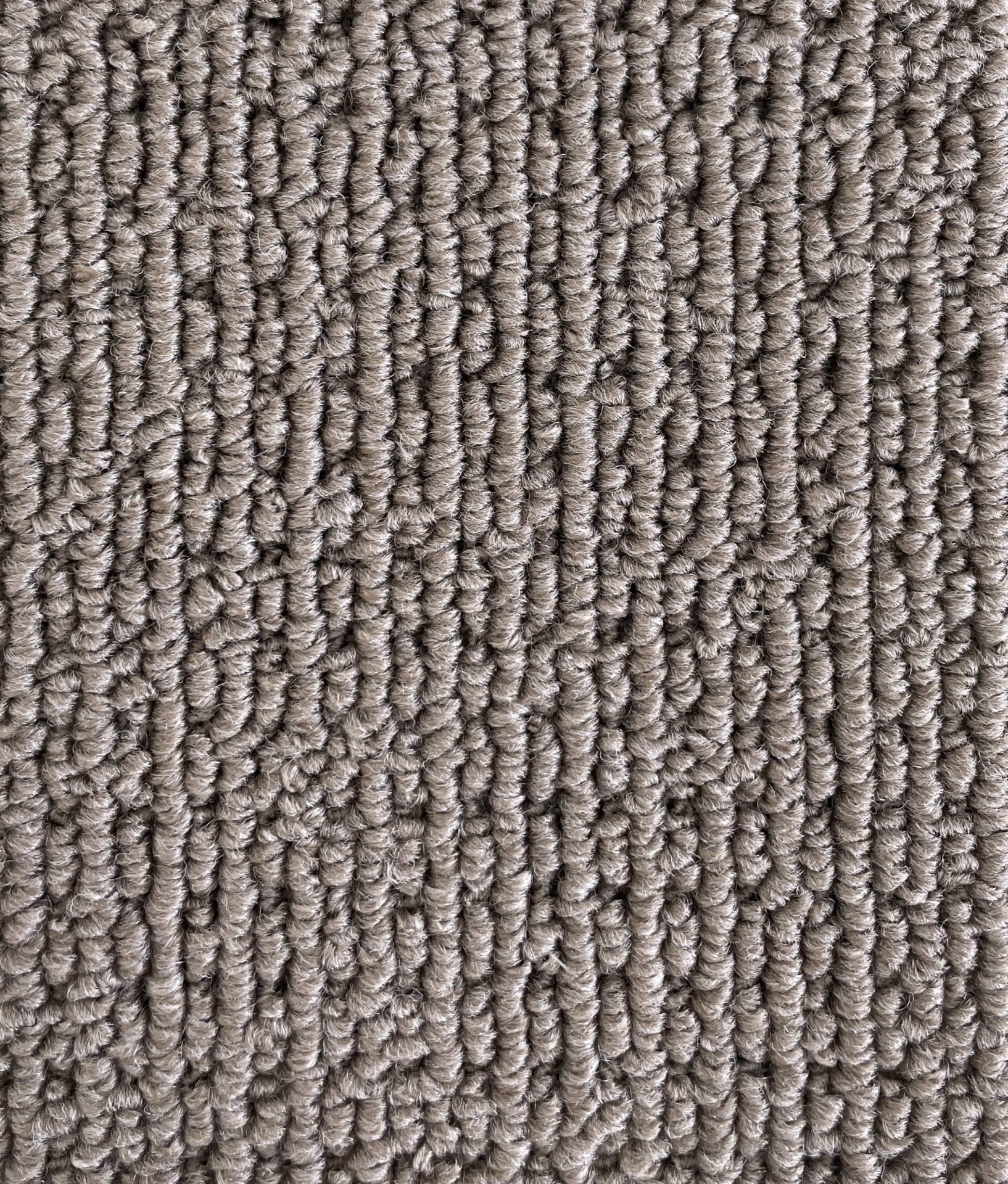 Savanna Col. Candlebark