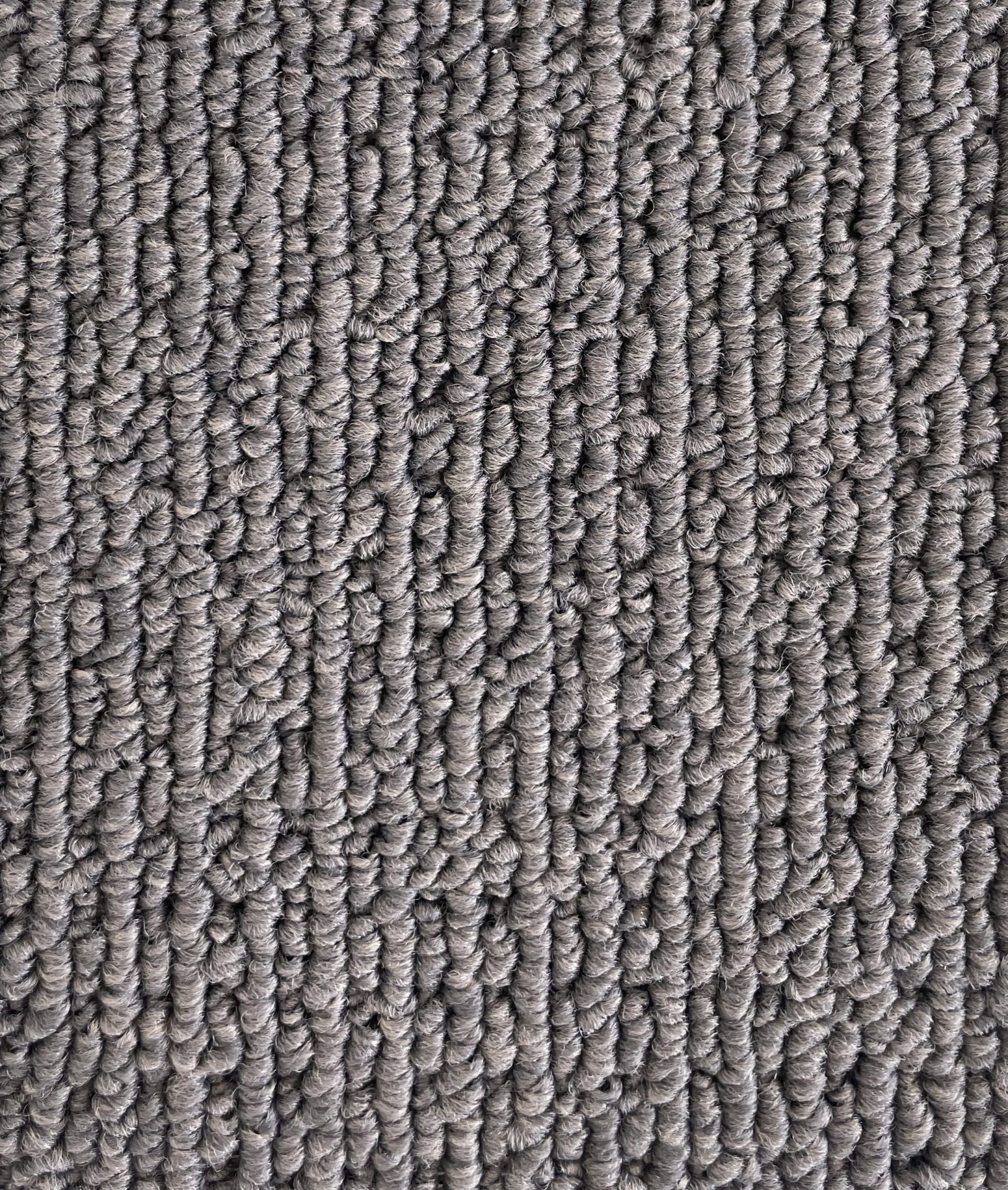 Savanna Col. Coolibah