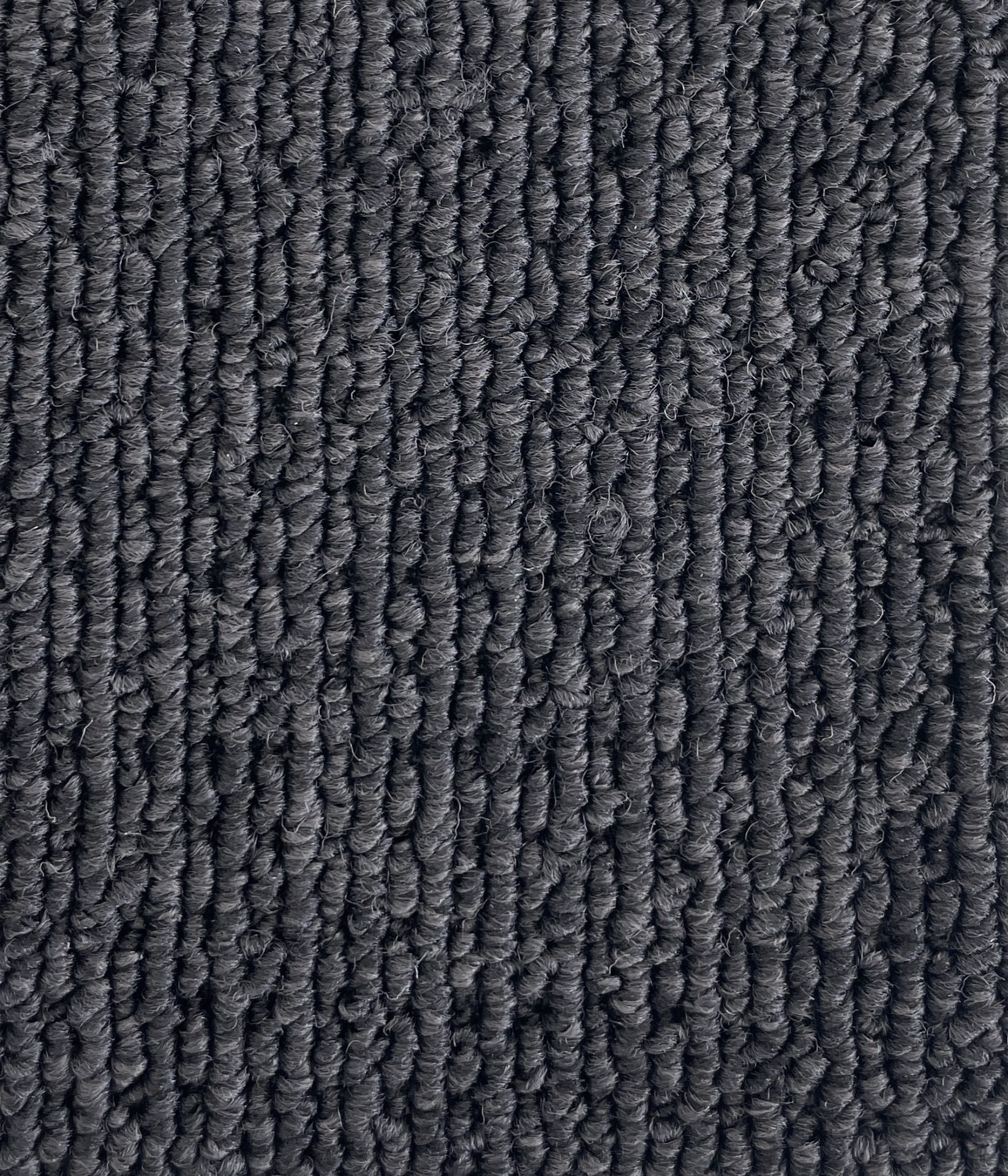 Savanna Col. Copperburr