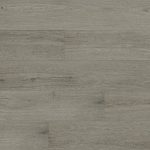 Seasons Southern Fall