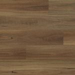 Seasons Southern Spotted Gum