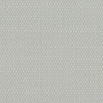 Serengetti Albatross