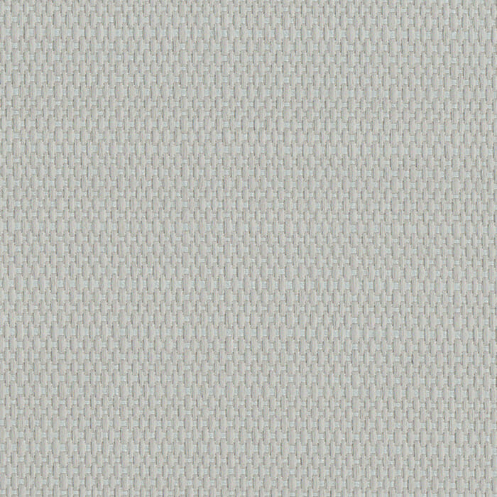 Serengetti Albatross