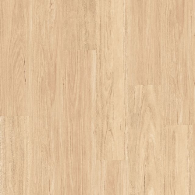 Skyline Costal Blackbutt Large