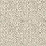 Spinifex Chalky Medium