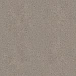 Spinifex Earth Medium