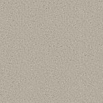 Spinifex Moth Medium