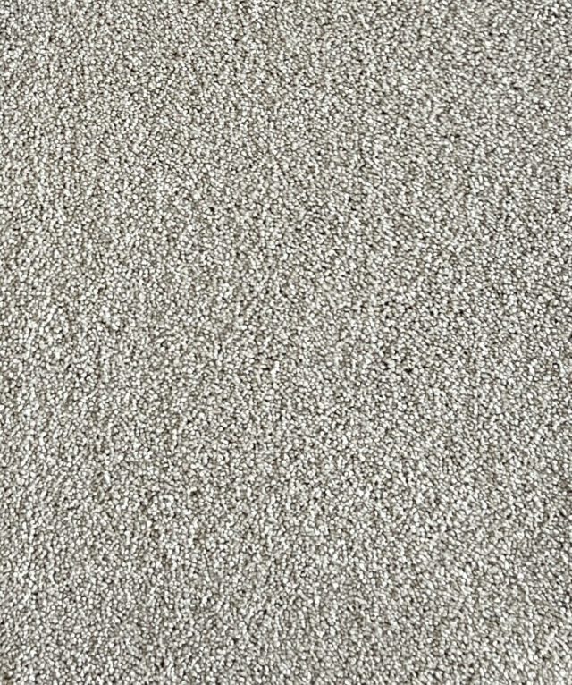Star Struck Anqtique White