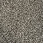 Star Struck Mushroom